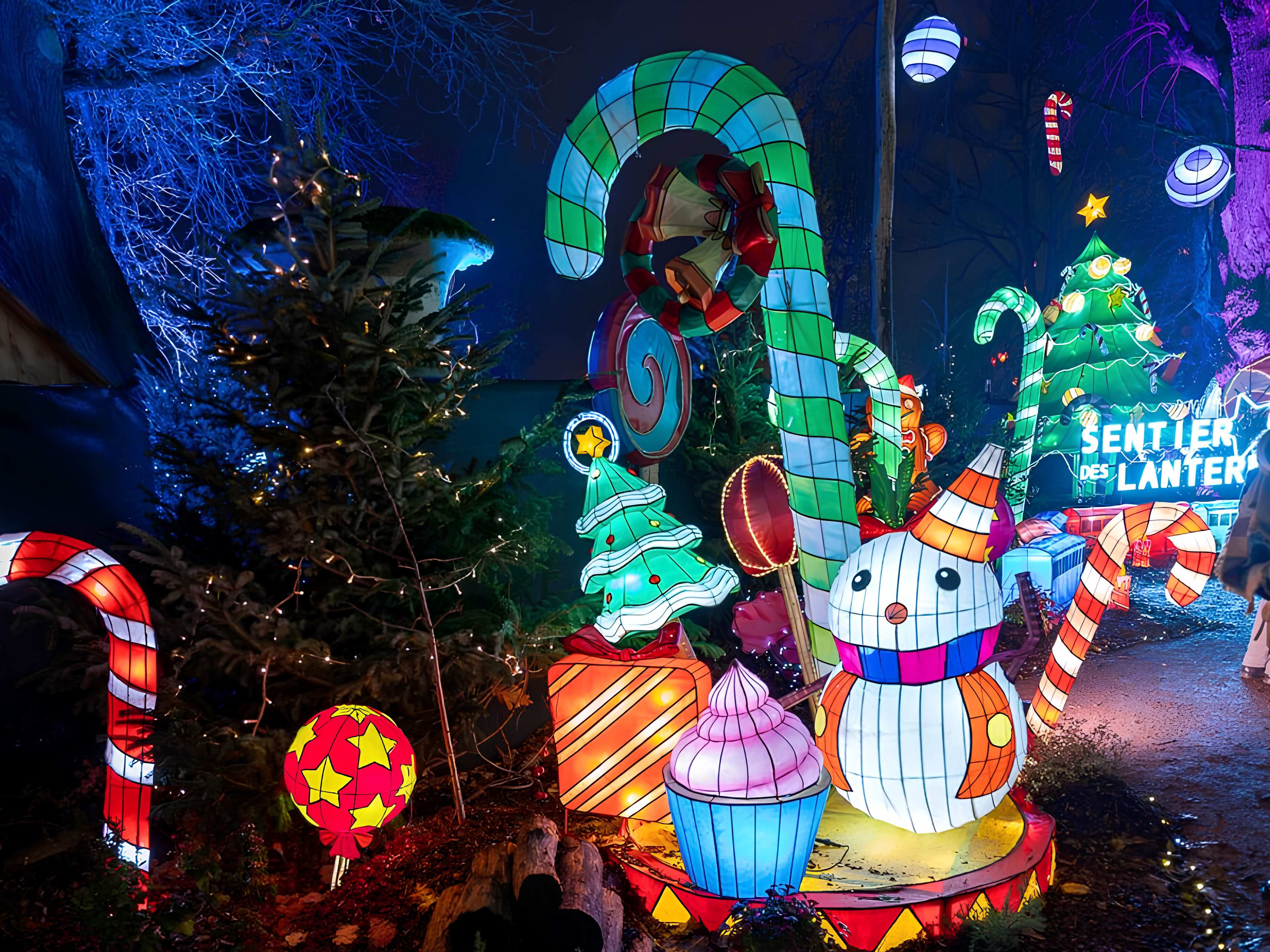 A Dazzling Christmas for the Winter Holidays! | MOSL